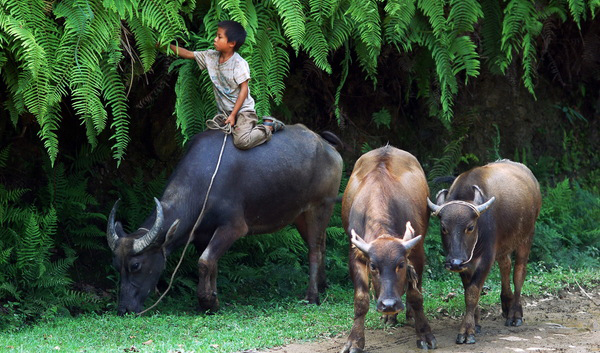 立志當立天下志，求名當求萬世名(圖1)