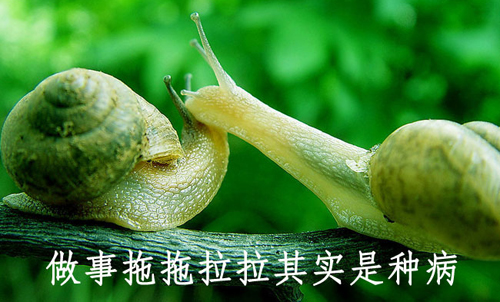 拒絕拖延從今天開始，明天會(huì)更好(圖4)