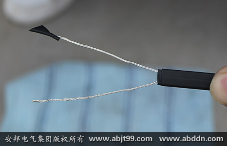 露出兩條金屬導(dǎo)線(xiàn)